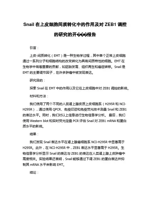 Snail在上皮细胞间质转化中的作用及对ZEB1调控的研究的开报告