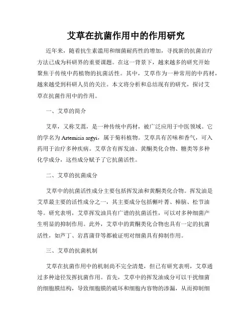 艾草在抗菌作用中的作用研究