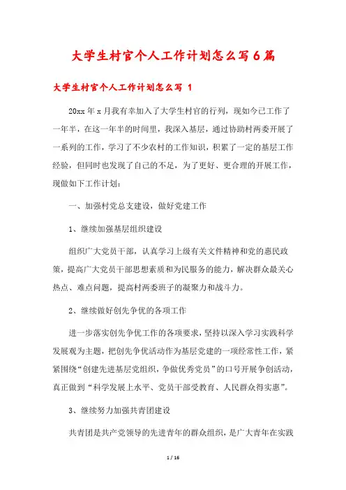 大学生村官个人工作计划怎么写6篇
