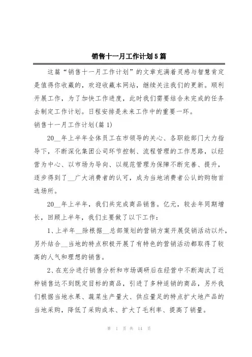销售十一月工作计划5篇