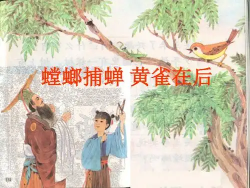 《螳螂捕蝉黄雀在后》PPT课件