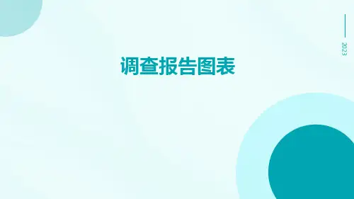 调查报告图表