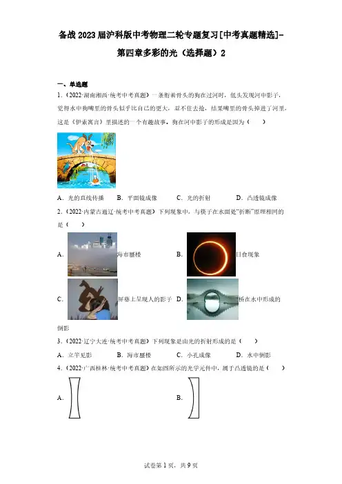 备战2023届沪科版中考物理二轮专题复习[中考真题精选]-第四章多彩的光(选择题)2