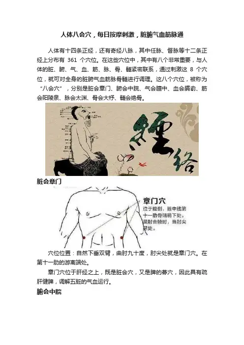 人体八会穴，每日按摩刺激，脏腑气血筋脉通