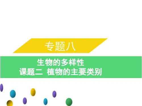 专题八课题二植物的主要类别中考生物总复习课件