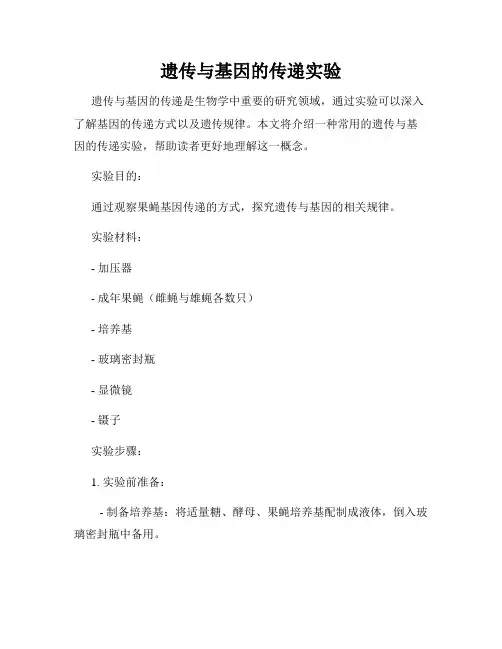 遗传与基因的传递实验