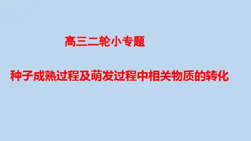 高三二轮小专题种子成熟过程及萌发过程中相关物质的转化