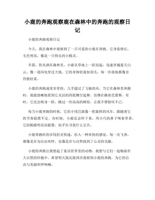小学三年级作文小鹿的奔跑观察鹿在森林中的奔跑的观察日记