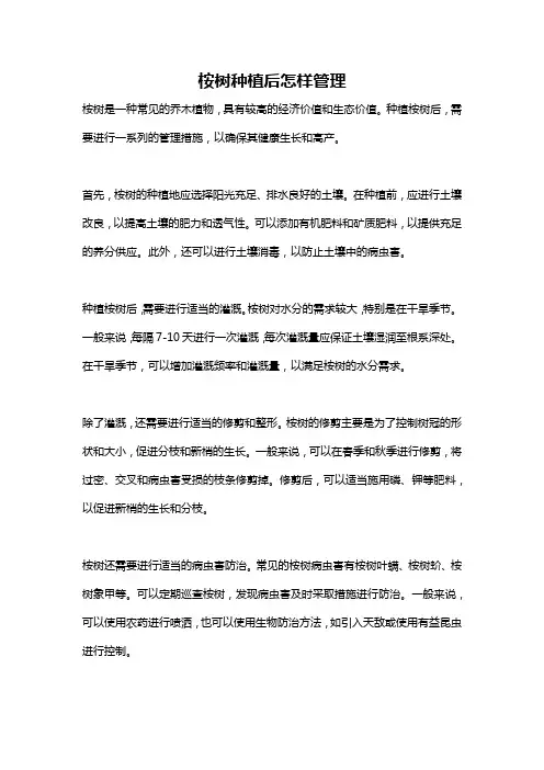 桉树种植后怎样管理