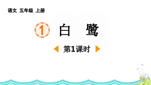 《白鹭》PPT课件(第1课时)