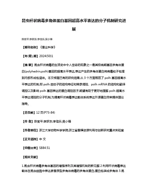 昆虫杆状病毒多角体蛋白基因超高水平表达的分子机制研究进展