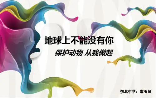 保护动物ppt-精品课件