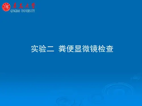 粪便显微镜检查概要
