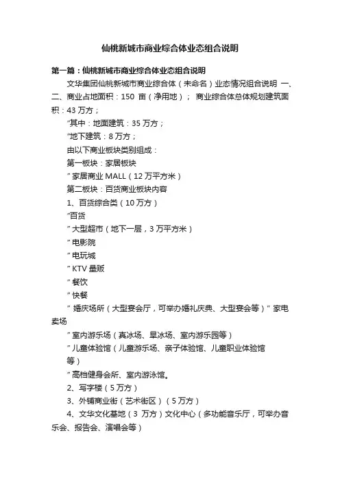仙桃新城市商业综合体业态组合说明