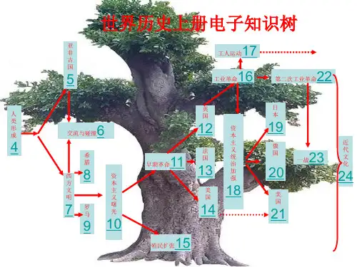 新部编人教版九年级历史上册《总复习》教学课件