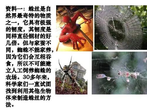 高中生物优质课赛课6-2基因工程及其应用优秀课件