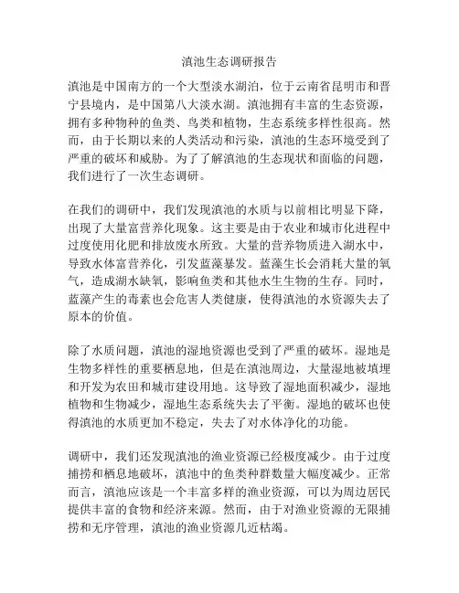 滇池生态调研报告