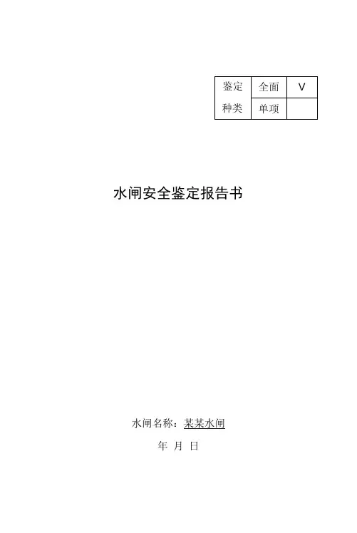 水闸安全鉴定报告书