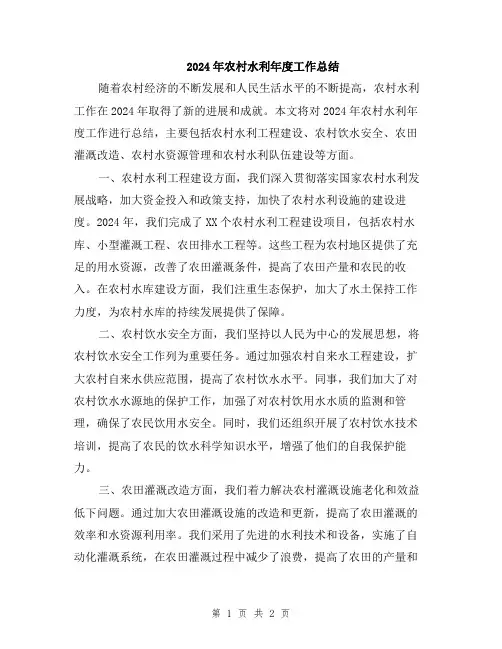 2024年农村水利年度工作总结