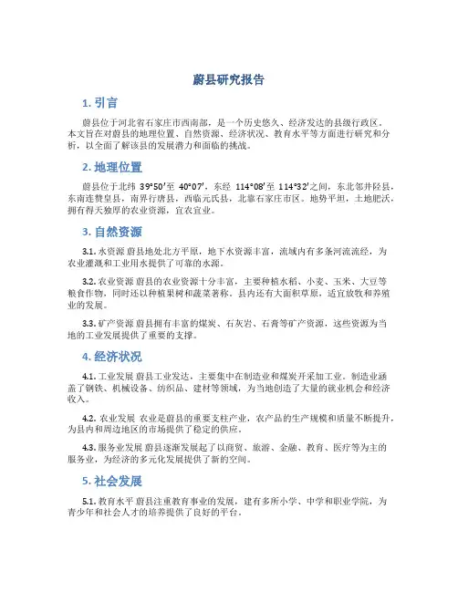 蔚县研究报告