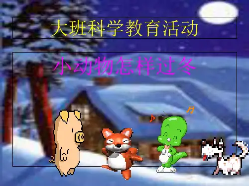小动物怎样过冬(课堂PPT)