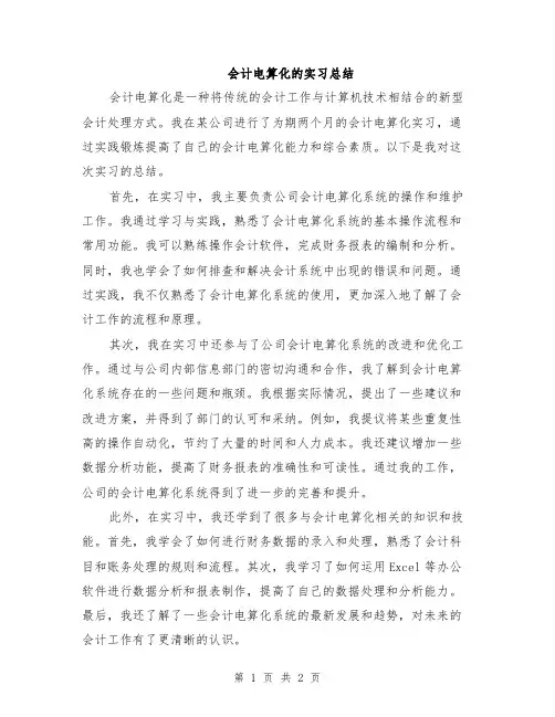 会计电算化的实习总结