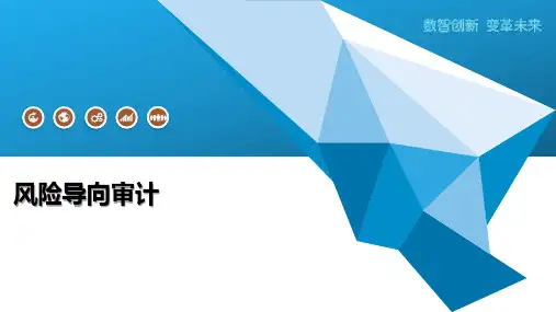 风险导向审计