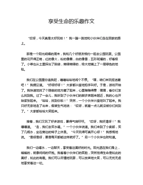 享受生命的乐趣作文