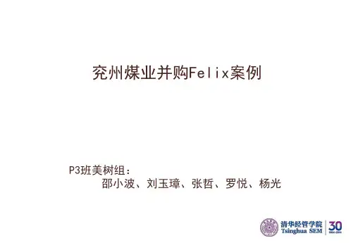 全球化_兖州煤业案例_2013P3_美树组