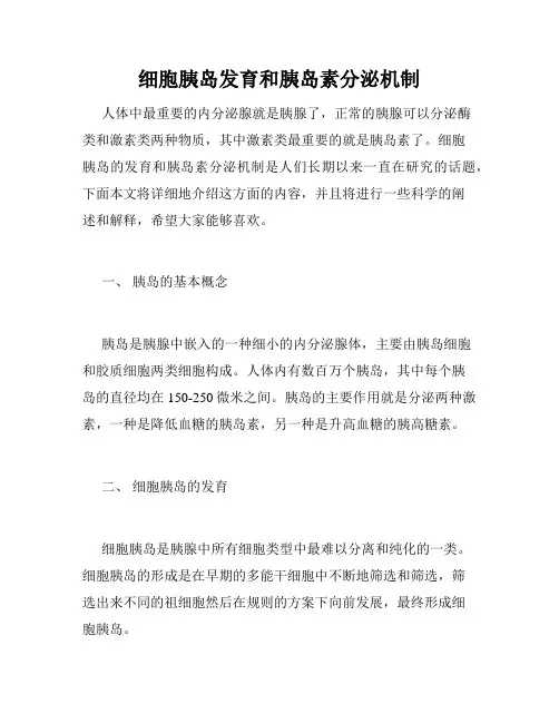 细胞胰岛发育和胰岛素分泌机制