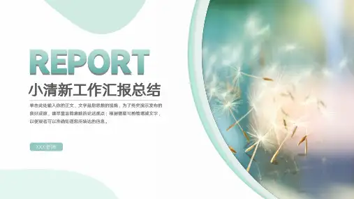 小清新年度工作汇报总结模板