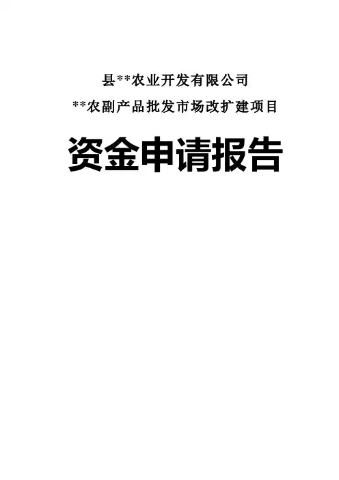 农副产品批发市场改扩建项目资金申请报告