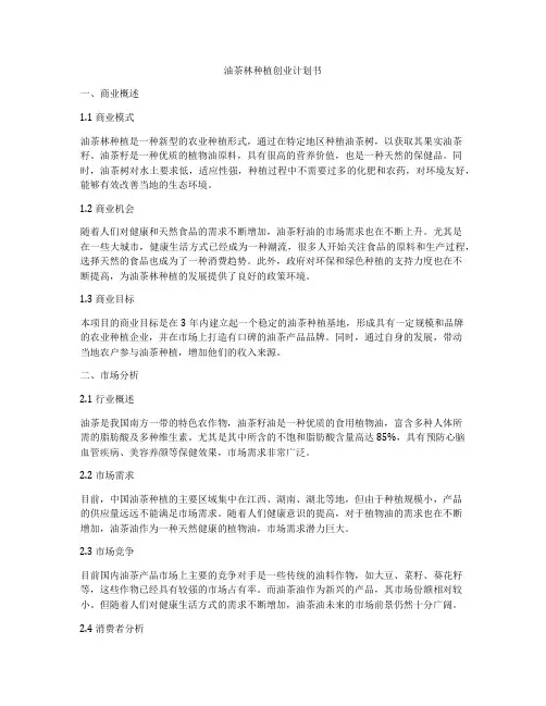 油茶林种植创业计划书