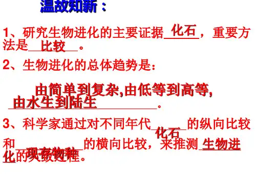 新人教版八年级生物下册 第三节 《生物进化的原因》课件(共28张PPT)
