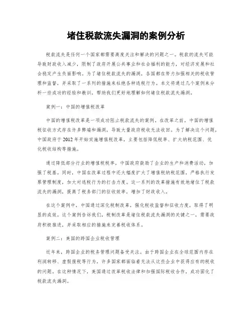 堵住税款流失漏洞的案例分析