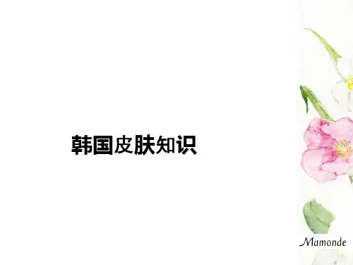 韩国皮肤知识ppt课件