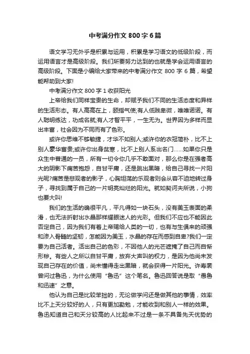 中考满分作文800字6篇