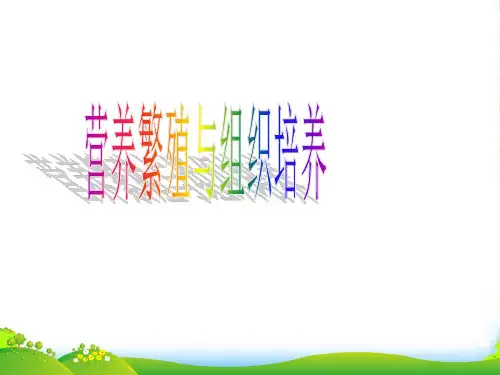 八年级生物上册 第四单元 第一章 第七节 植物的无性生殖课件 济南