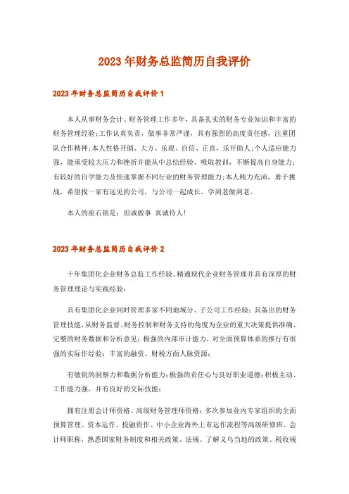 2023年财务总监简历自我评价_1