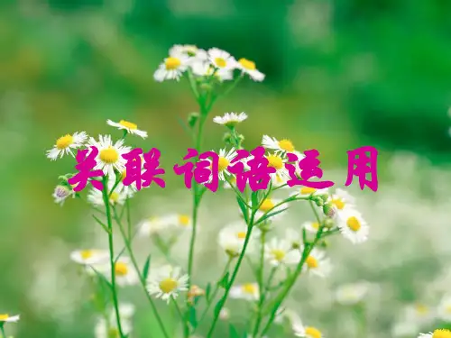 关联词语总复习