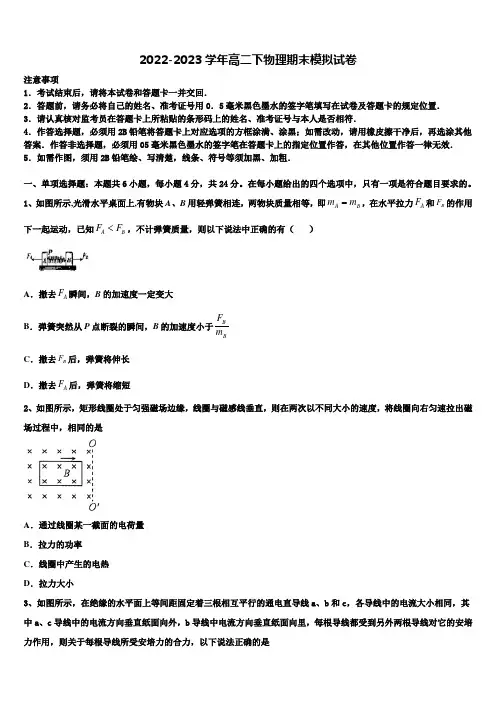 上海市上海大学附属中学2022-2023学年物理高二下期末学业水平测试试题含解析