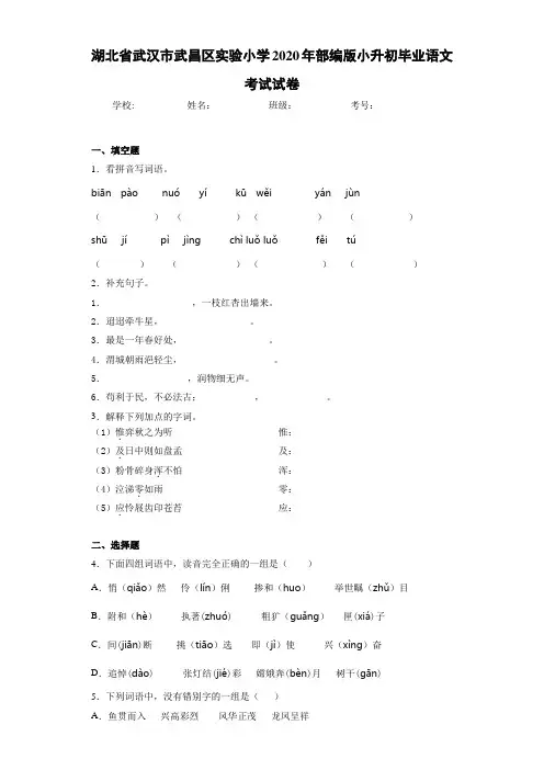 湖北省武汉市武昌区实验小学2020年小升初毕业语文考试试卷(答案解析)