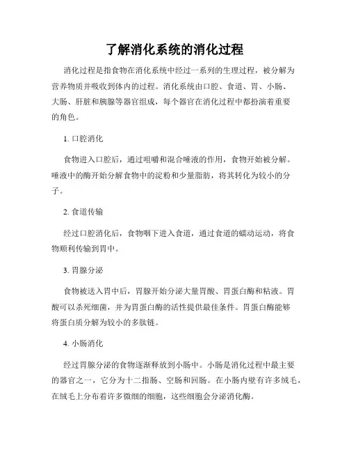 了解消化系统的消化过程