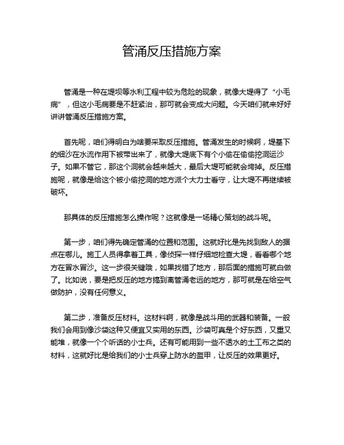 管涌反压措施方案