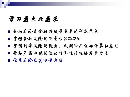 金融风险分析与测度