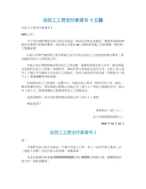 农民工工资支付承诺书 十五篇