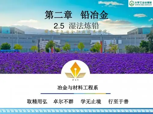 重金属冶金技术-铅冶金-5