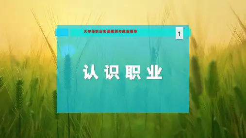 认 识 职 业