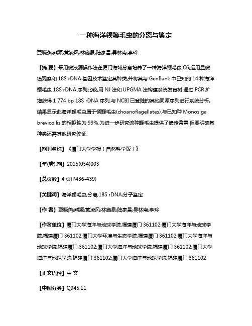 一种海洋领鞭毛虫的分离与鉴定