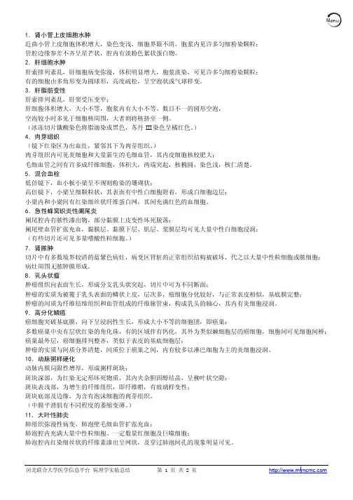 病理实验标本描述
